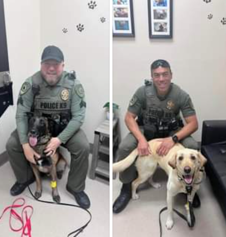 Las Vegas K9 officers exposed to illegal drugs treated with NARCAN