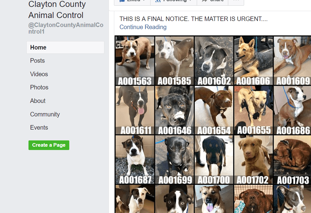 Urgent call by animal control that 20 dogs were to be put down adopted and placed in new homes