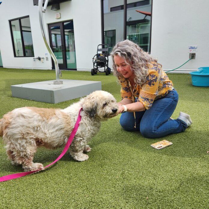 Tail-wagging reunion: Florida woman reunited with long-lost dog after 10 years