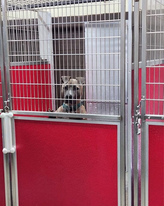 Colby has not given up finding a family of his own and watches and waits