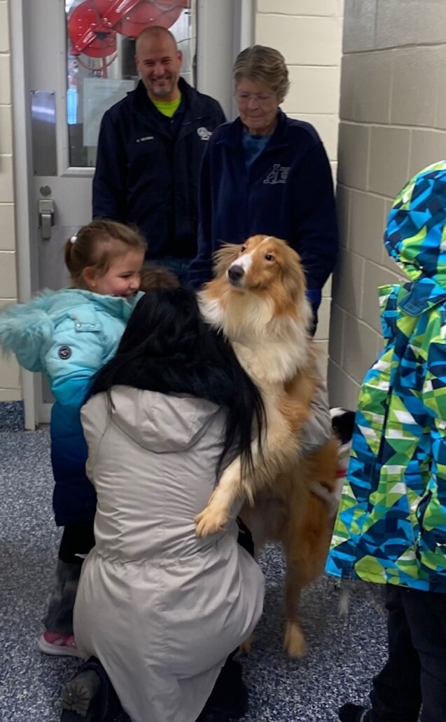 collie-returned-1-637x1030-1