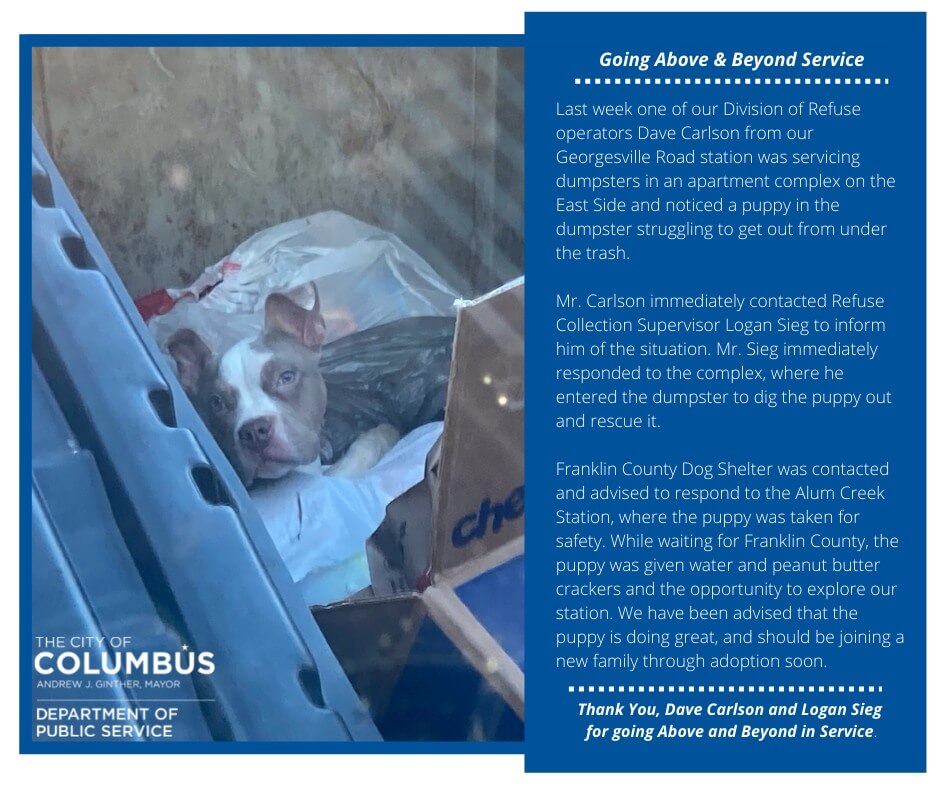 Puppy discarded in the trash rescued by refuse operator who went ‘above and beyond in service’