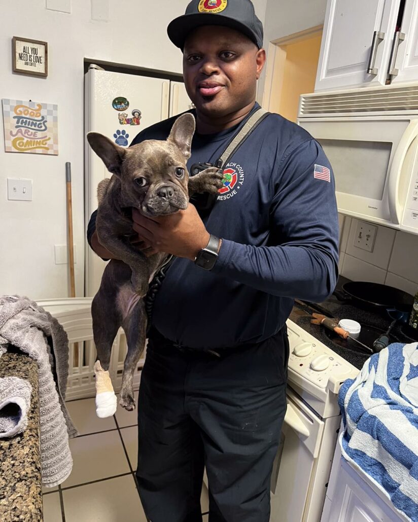 cookie-the-frenchie4-824x1030-1