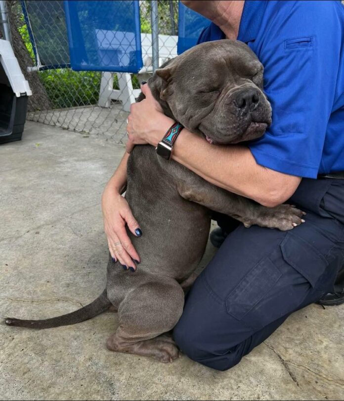 Make room in your heart and home for loving ‘Mr. Snufflufugus