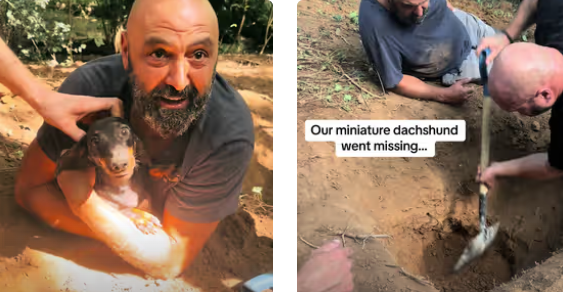 Dog missing for days found days later in underground tunnel with no food or water and survived