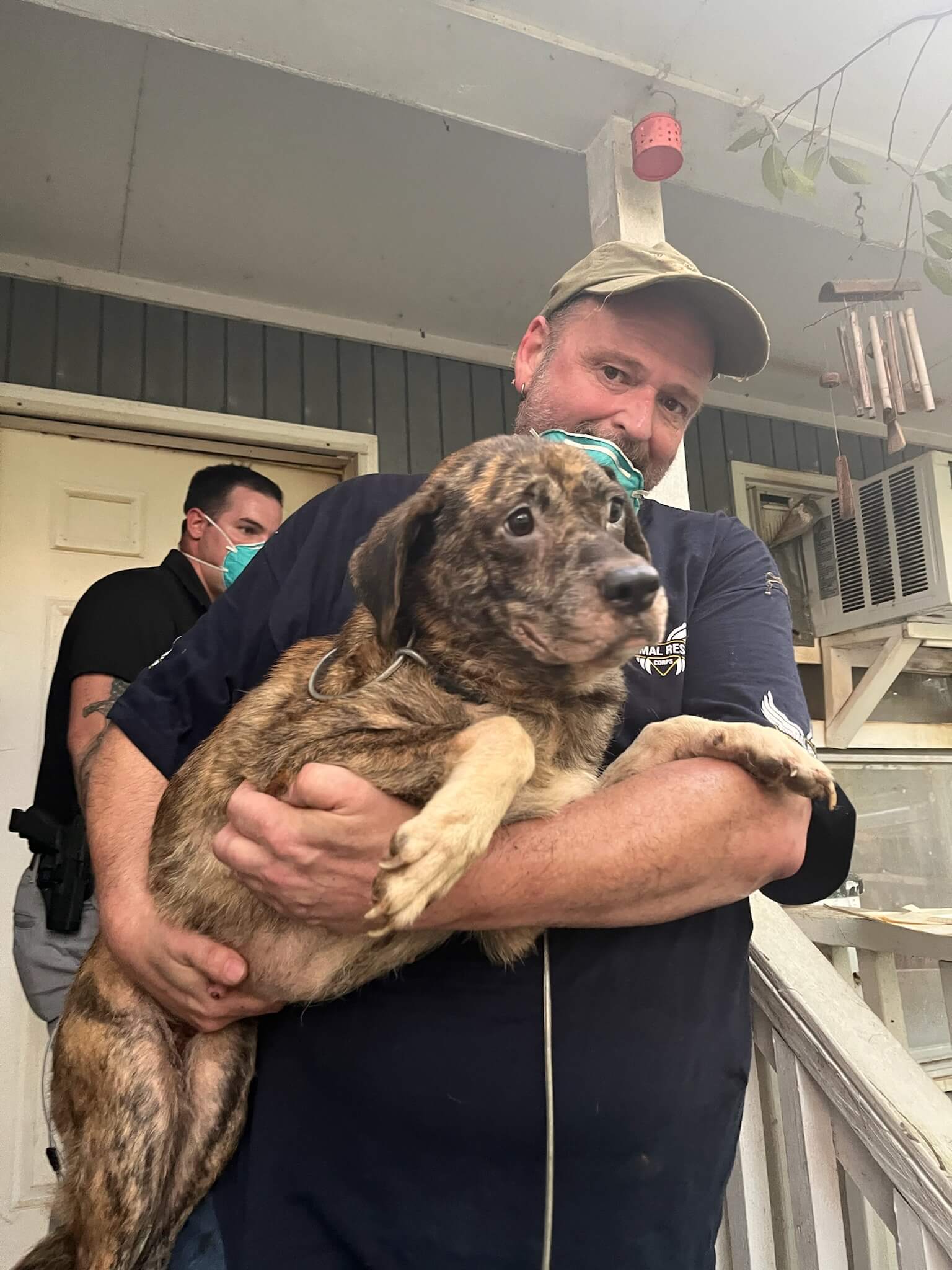 Nine dogs rescued from filthy pitch black home where they were trapped for years after their owners moved out