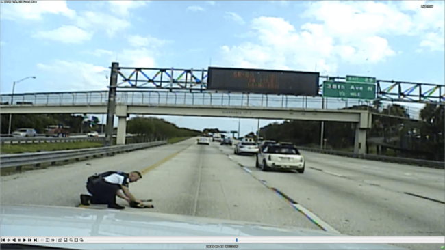 Police officer caught on dash cam coming to rescue of dog hit by car