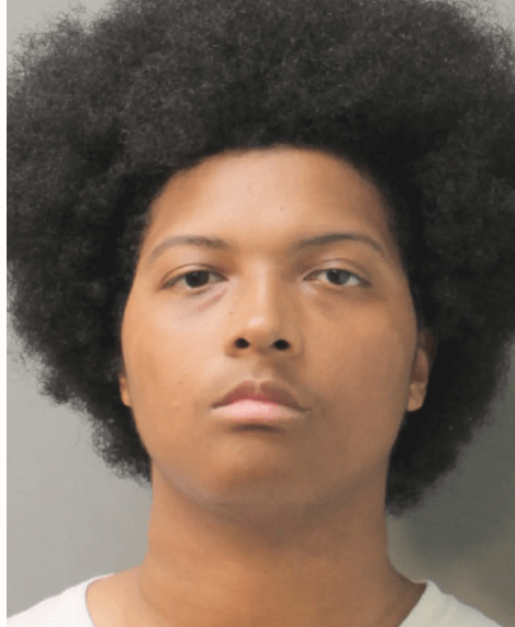 Out of control man accused of slamming his puppy against the floor causing serious injuries