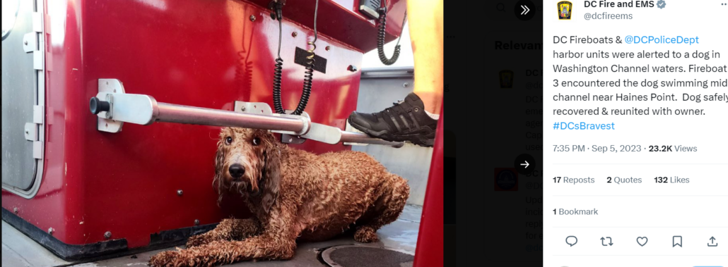 dc-fire-save-dog-3-1030x379-1