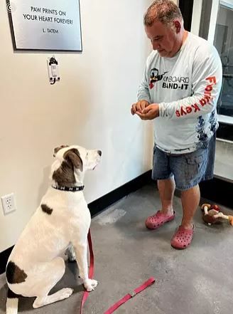 deaf-dog-adopted2