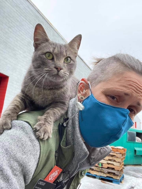 Cat stowaway in delivery truck discovered during Virginia ice storm