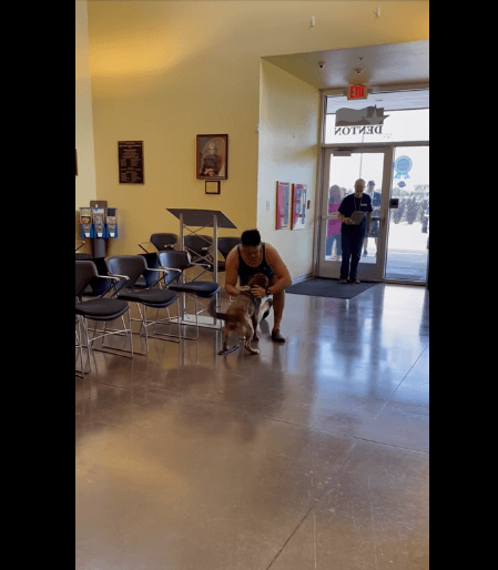 Lost dog found six months later and reunited with family makes up for bad days at animal shelters