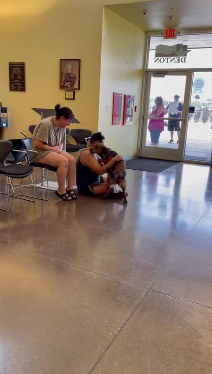 denton-animal-shelter1