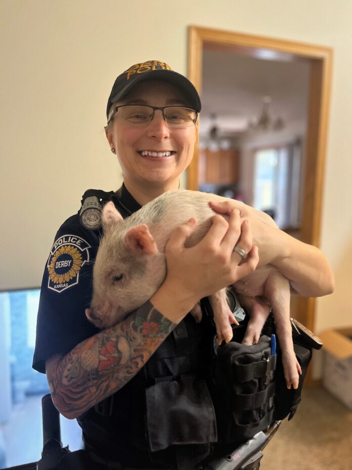 Derby police officer goes the extra mile to replace child’s therapy pig after animal attack