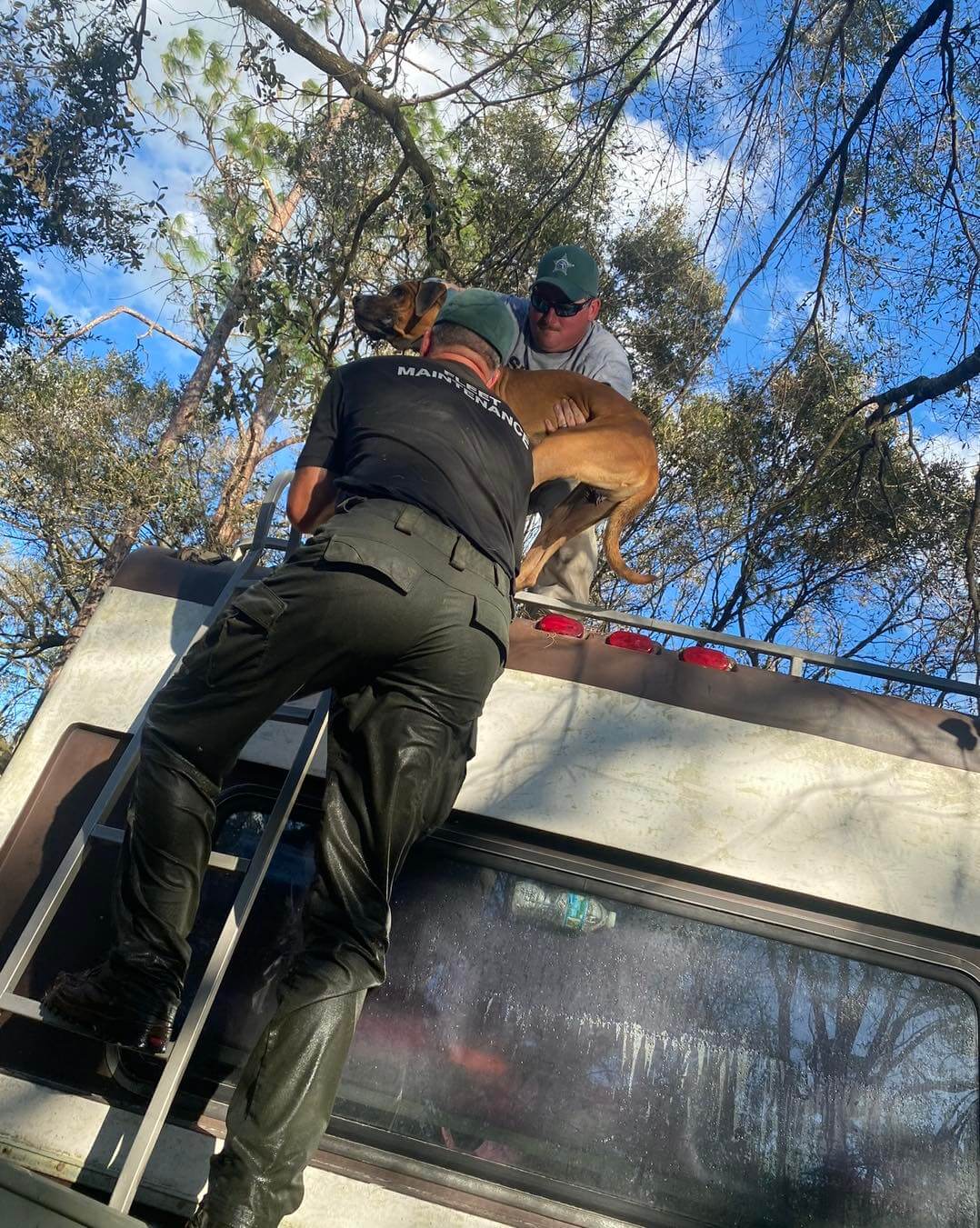 Dog in ‘severely impacted’ community survived 9 days atop RV after Hurricane Ian