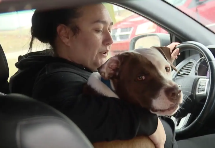 Rescue dog led firefighters back into burning home to save 1-year-old in playpen