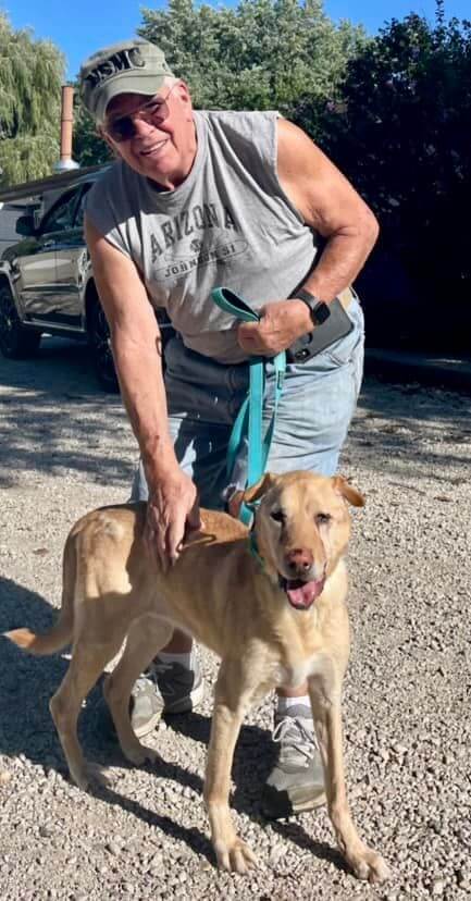 Awesome man walks into rescue shelter and adopts the ‘oldest dog who no one wants’