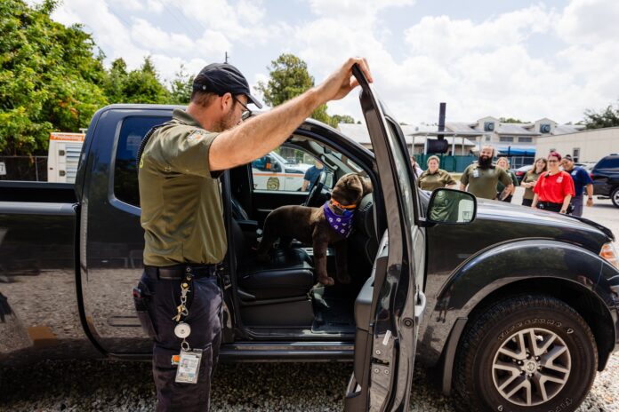 Firefighters adopt puppies left in hot car at Disney Springs