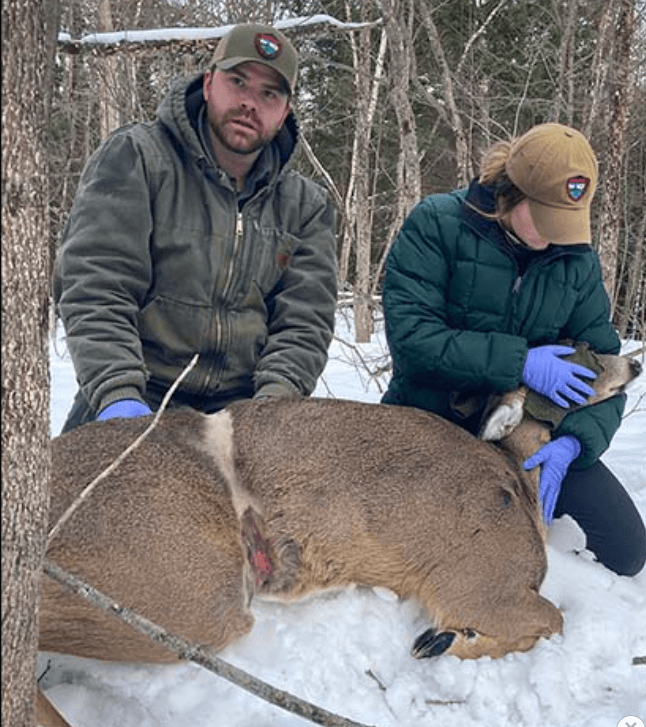 doe-rescued1