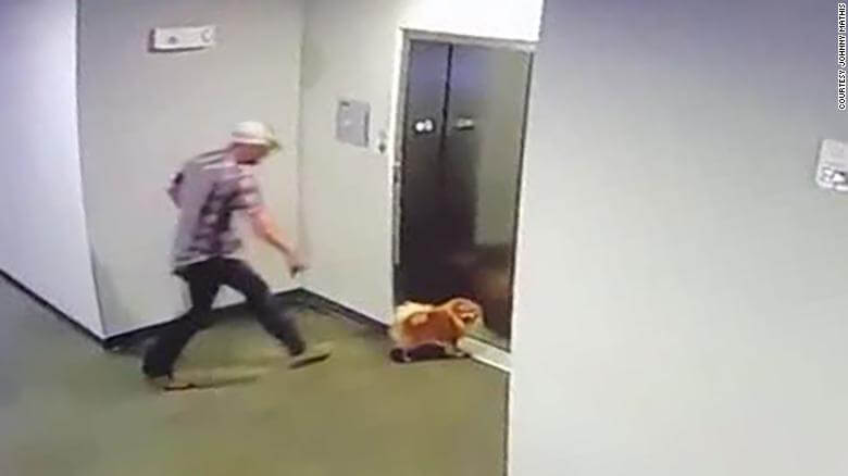 Hero saved dog when its leash became caught between elevator doors