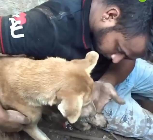 Frantic mother dog clawed through rubble to rescue her newborn puppies