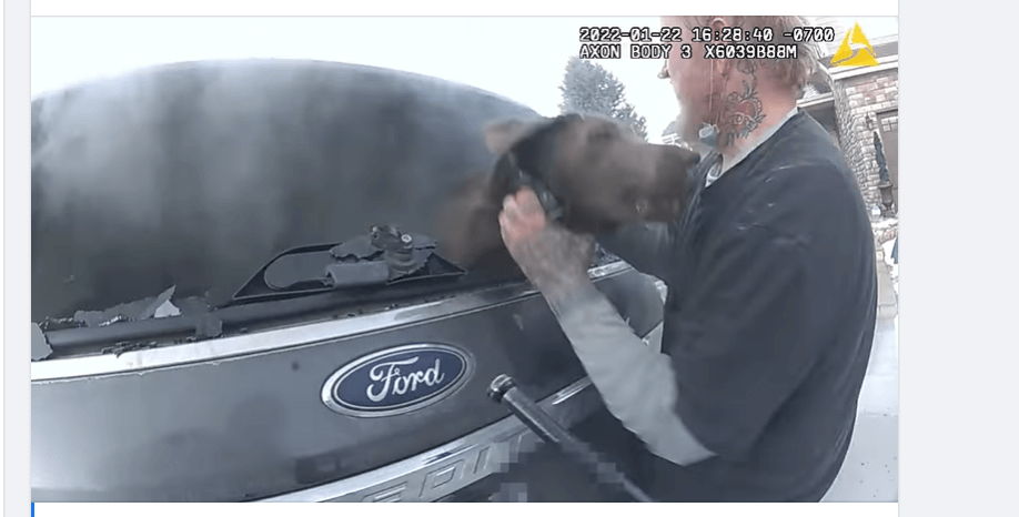 Brave officer saves dog trapped inside of smoke-filled car