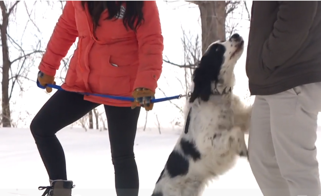 dog-helps-save-himself-1030x628-1