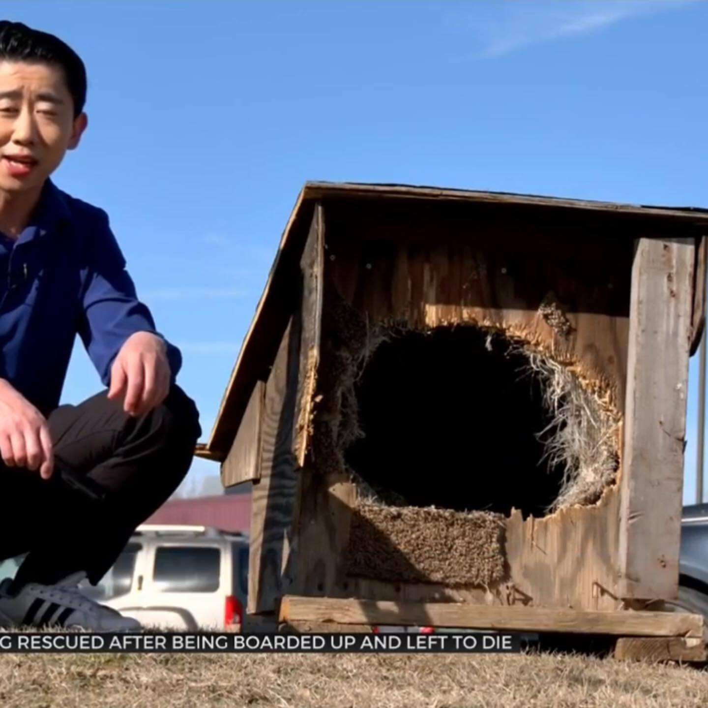 Reward offered for information leading to arrest of culprit who nailed entrance of dog house with dog inside