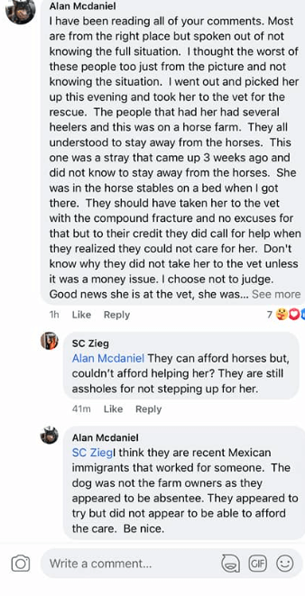 dog-kicked-horse-4