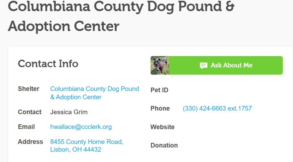 dog-pound-1030x571-1