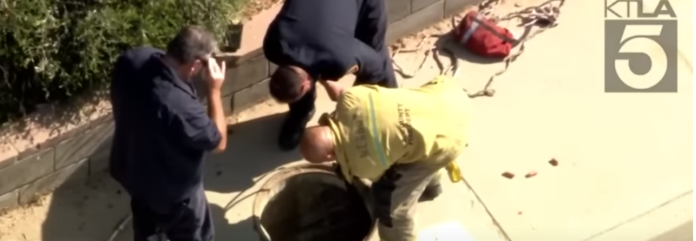 Dog stuck in drain LA
