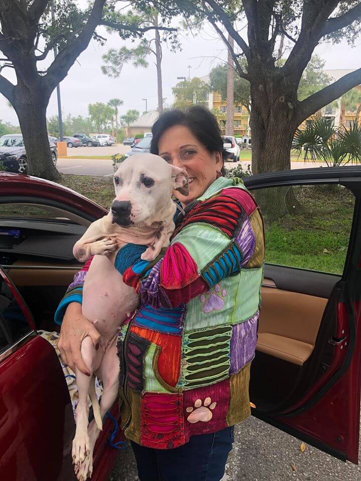 dog-with-no-front-legs-4