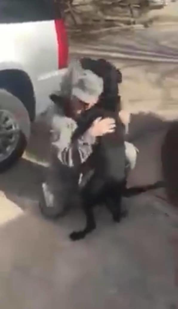 dogs-struck-by-train-596x1030-1