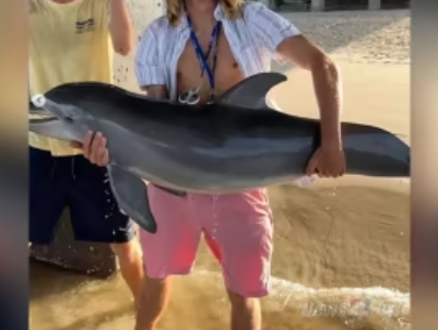 Social media photo of Florida fisherman holding dolphin out of water prompts outrage