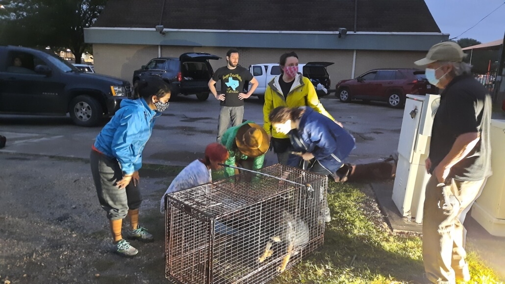 drain-pups-2-1030x580-1