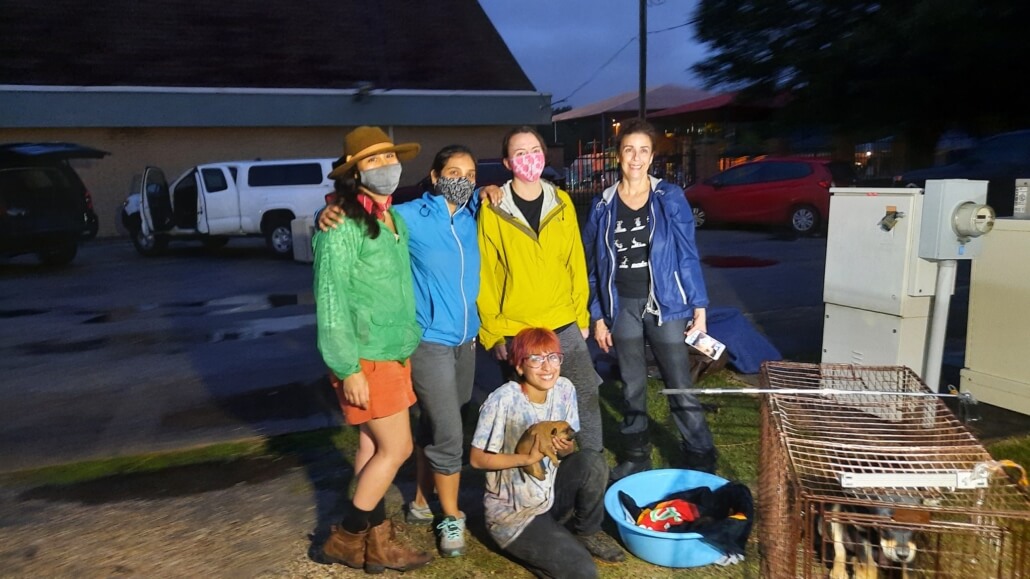 drain-pups-5-1030x579-1