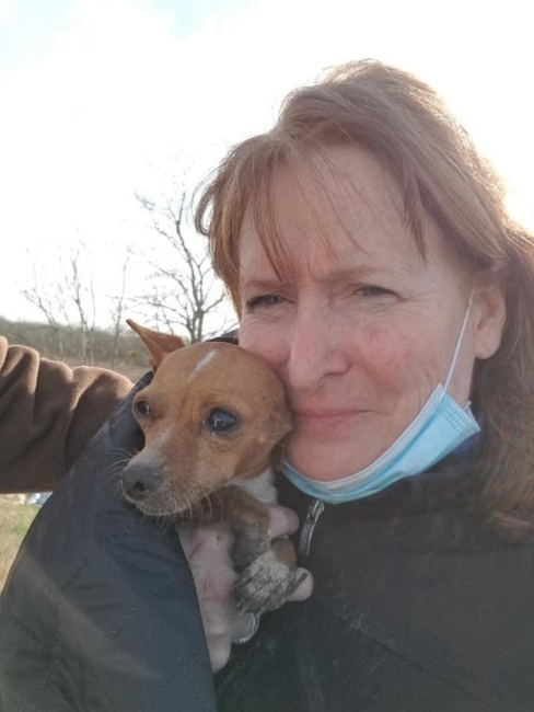 Starving Chihuahua spotted eating trash and fleeing into drain pipe saved by kind hearts