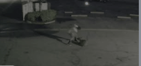 Man videoed beating dog in Duarte turned himself into authorities