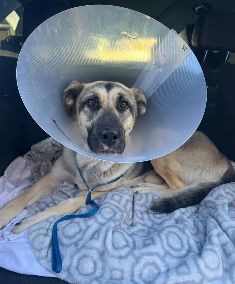 duke-a-home-4-spot