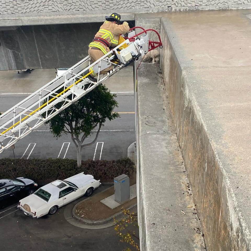 el-segundo-fd1