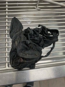 elliot-tih2-225x300-1