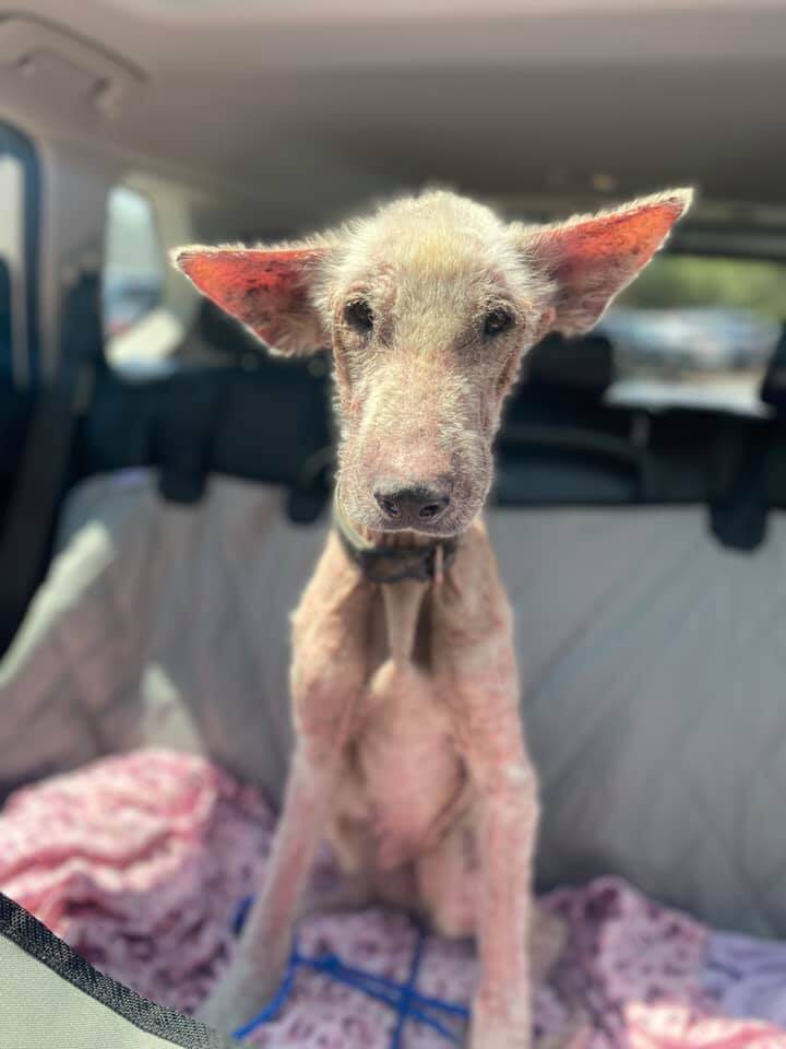 So many people turned a blind eye to Emma, but her suffering is over and her world has changed