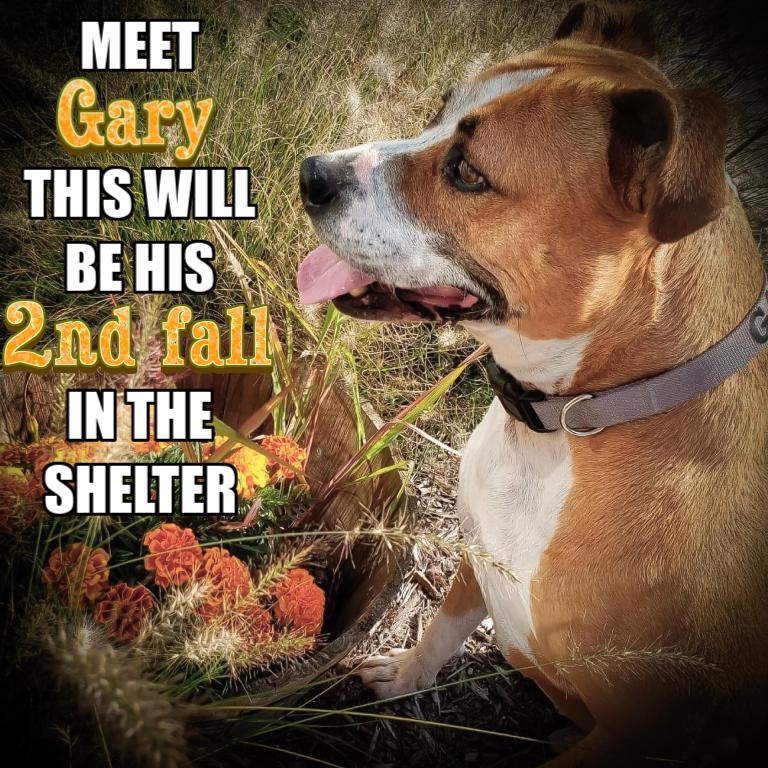 everybody-loves-gary-1