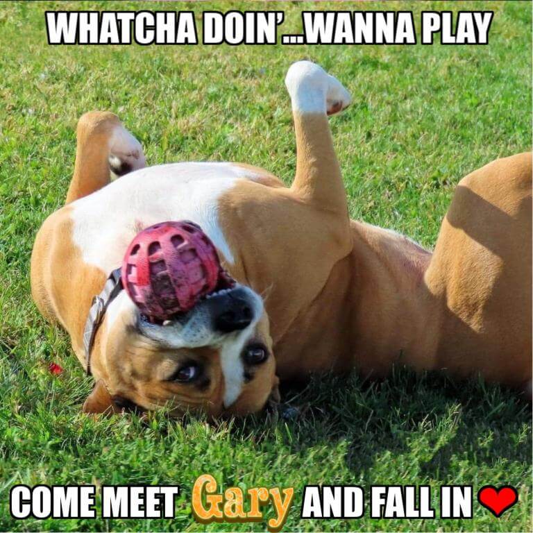 everybody-loves-gary2