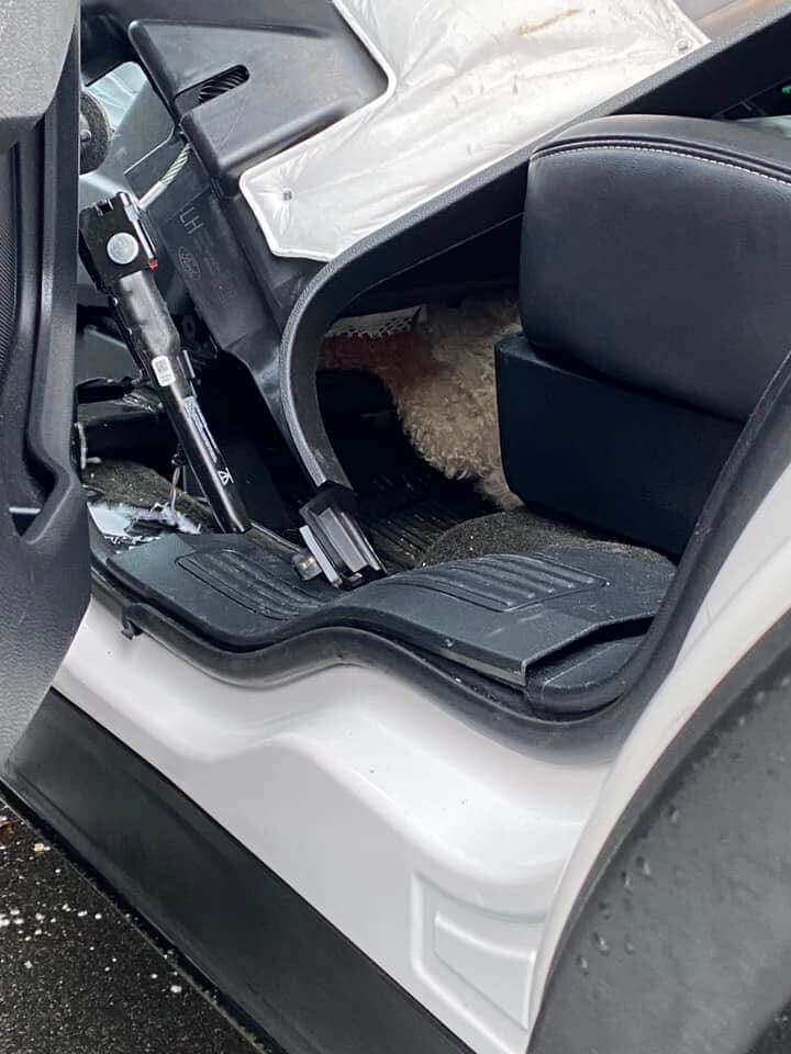 Poodle stuck under car seat on way to be groomed rescued by Fairhaven first responders