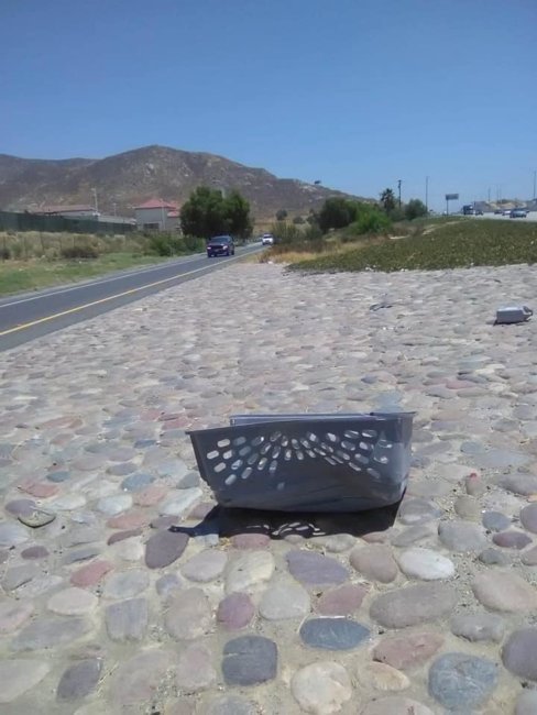 A broken crate, a little dog running near freeway and a rescue just in time