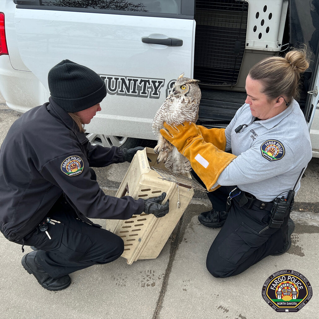 fargo-police-dep-1-1030x1030-1