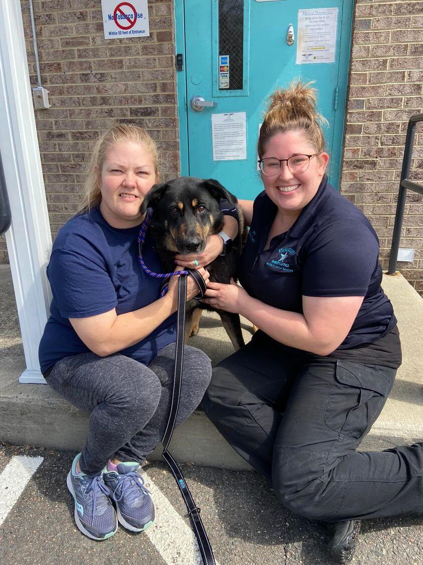 Dog dumped at North Carolina shelter for being ‘gay’ has been adopted