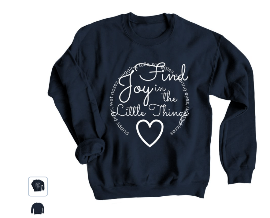 find-joy-1-1 This image has an empty alt attribute; its file name is find-joy-1.png