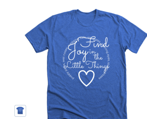 find-joy-495x400-1